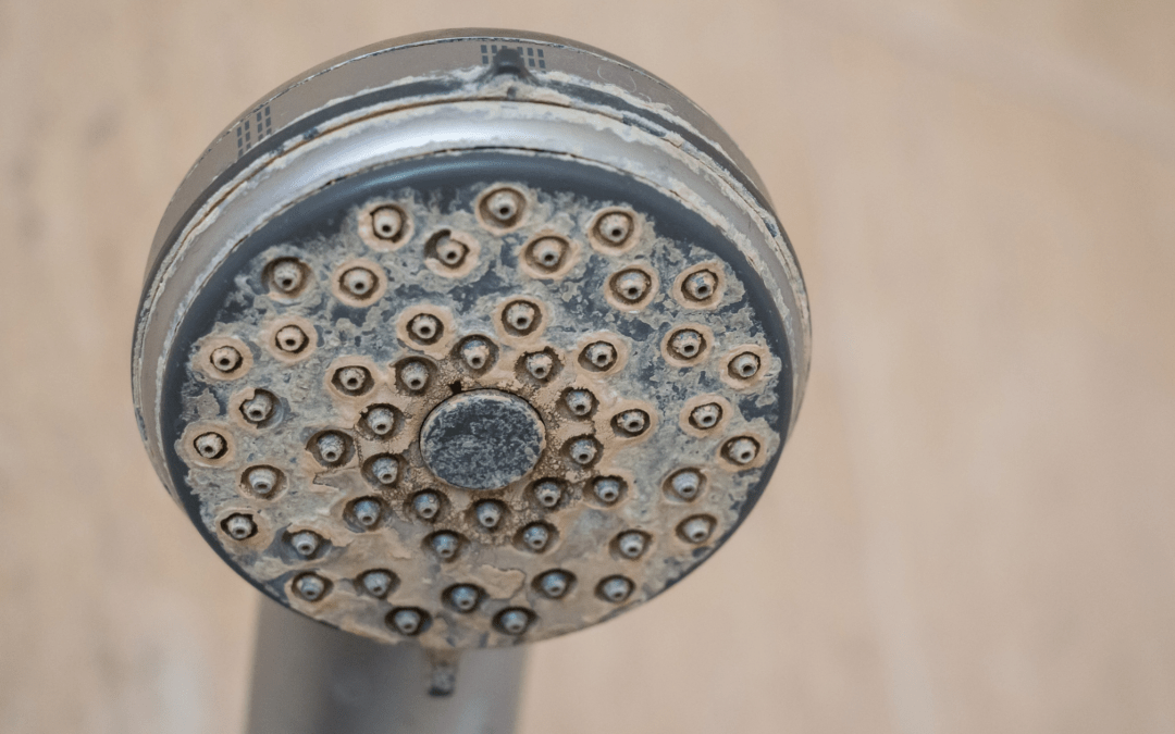 The Troublesome Effects of Hard Water on Your Plumbing System